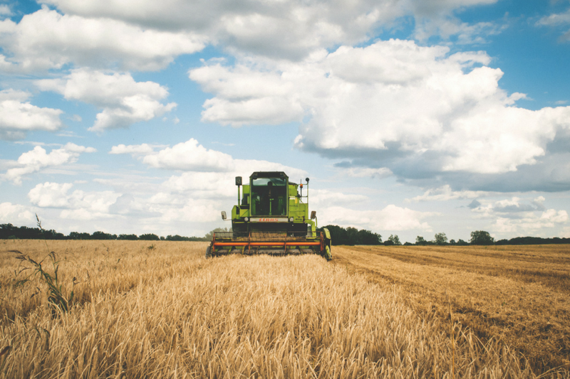 um trator está passando por um campo de trigo