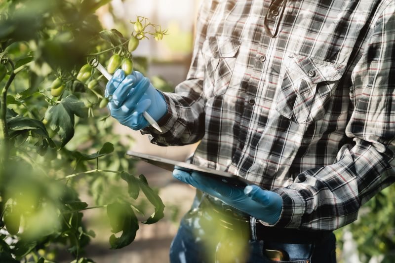 Quanto custa o curso de agronomia? Descubra