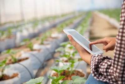 Pessoa usando um smartphone para gerenciar uma fazenda com plantas em um ambiente de agricultura de precisão, evidenciando a gestão moderna do agronegócio.