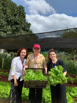 Projeto da UniCesumar cria horta sustentável no Hospital do Câncer de Maringá