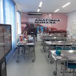 Anatomia Humana