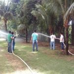 brigada 4
