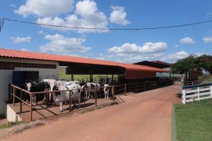 leiteria-fazenda-unicesumar (3)