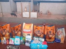 UniCesumar arrecada alimentos para ONGs que cuidam de animais