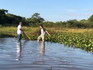 Ciencias Biologicas - Visita Rio Parana 05