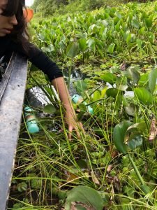 Ciencias Biologicas - Visita Rio Parana 06