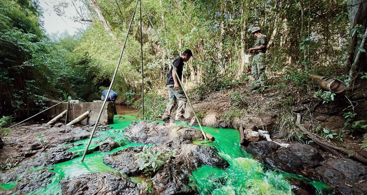 5 Motivos para fazer um curso de sobrevivência na selva