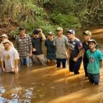 sobrevivência na selva