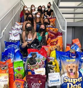 Em menos de um mês, cerca de uma tonelada de alimentos para animais foi arrecadada 