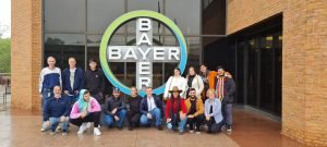 Bayer