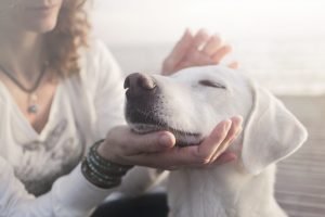 Woman,Gently,Caresses,Her,Dog