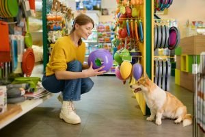 Young,Woman,Buying,New,Toy,For,Her,Corgi,Dog,At