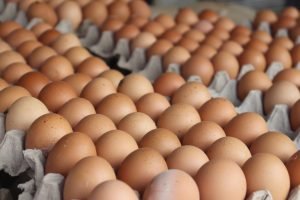 Egg,Prices,Rise,In,Asian,Markets