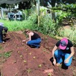 WhatsApp Image 2025-12-12 at 14.33.13 (1)