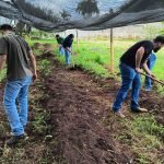 WhatsApp Image 2025-12-12 at 14.33.13