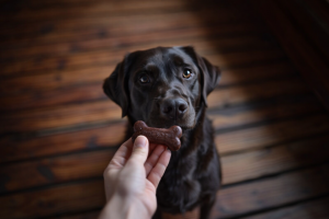 ChatGPT Image 9 de abr. de 2026, 09_02_55