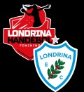 Londrina Handebol